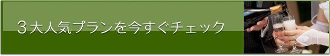 3大人気プランを今すぐチェック